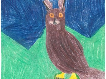 Wyniki konkursu Portret sowy, 